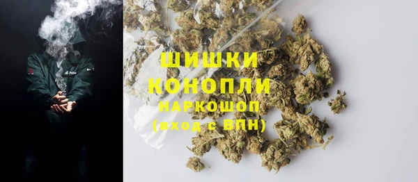 ГАЛЛЮЦИНОГЕННЫЕ ГРИБЫ Горняк