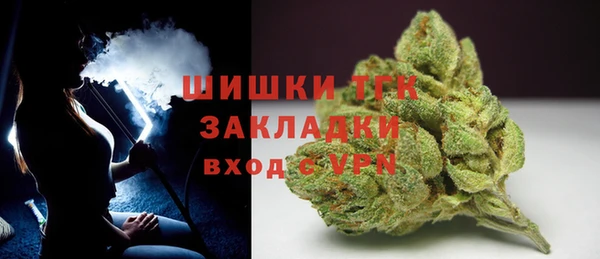 сатива Горно-Алтайск