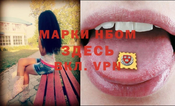 крисы Строитель
