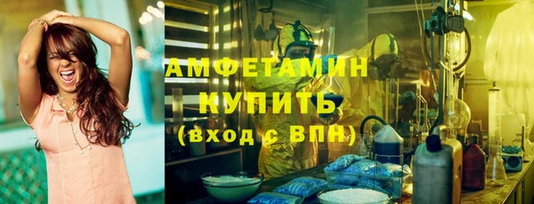 ГАЛЛЮЦИНОГЕННЫЕ ГРИБЫ Горняк
