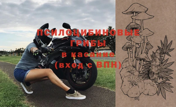 ГАЛЛЮЦИНОГЕННЫЕ ГРИБЫ Горняк