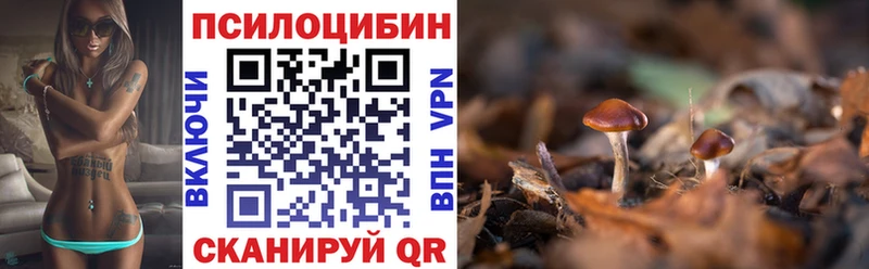 Купить где  Салаир  Галлюциногенные грибы мицелий 